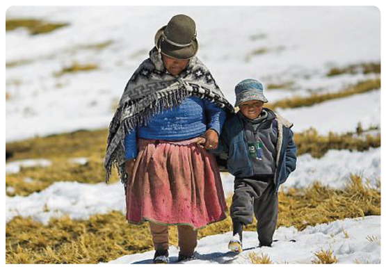 Coats for the Andes